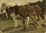 George Hendrik Breitner A Brown and a White Horse in Scheveningen USA oil painting artist
